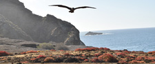 Ecuador-Galapagos-Coral I & II  5-day Cruise